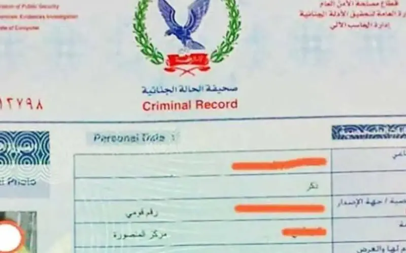 «من جوالك وفي دقائق».. طريقة استخراج الفيش والتشبيه من المنزل